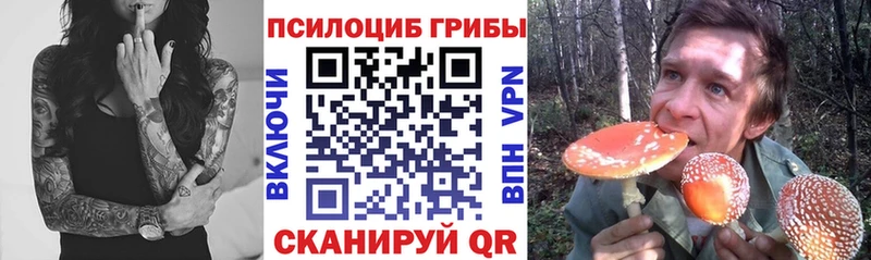 Галлюциногенные грибы мицелий  Купить закладки  Кущёвская 
